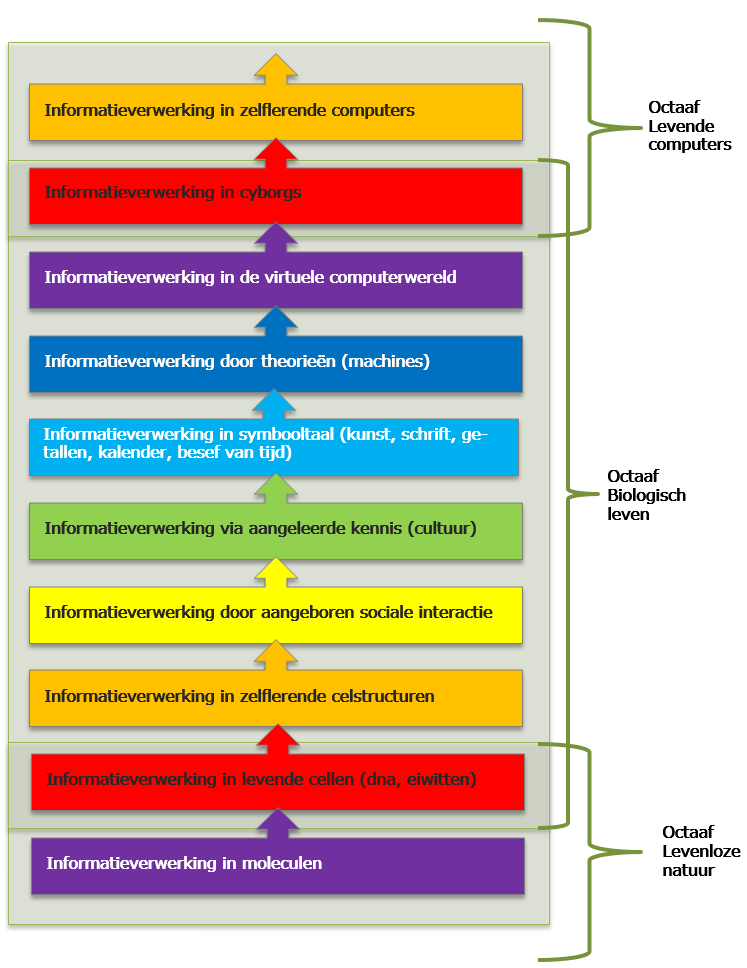 octaven evolutie informatieverwerking